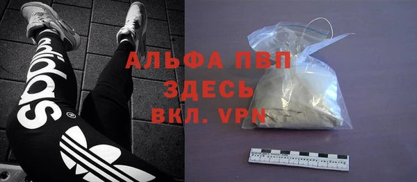 мяу мяу мука Абаза