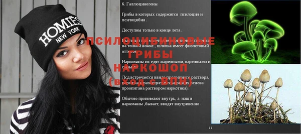 мяу мяу мука Абаза
